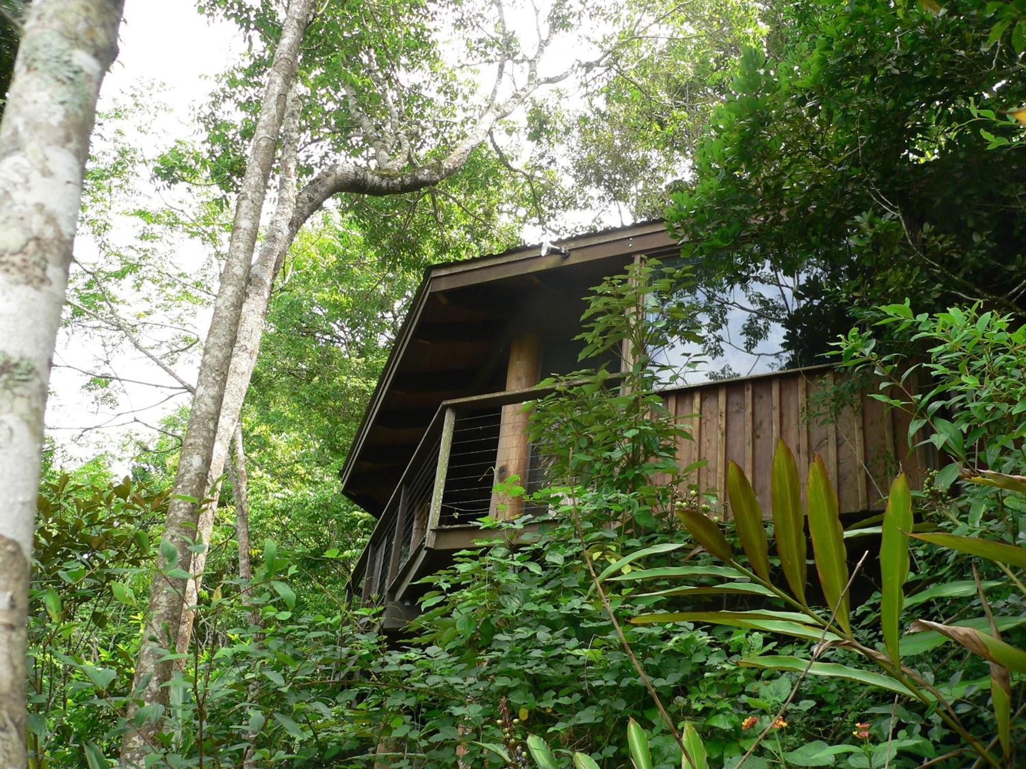 Mt Quincan Crater Retreat Yungaburra Extérieur photo