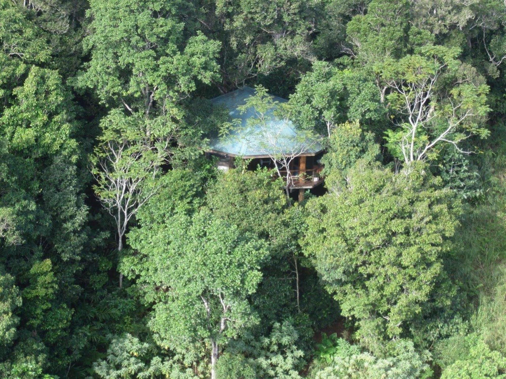 Mt Quincan Crater Retreat Yungaburra Extérieur photo