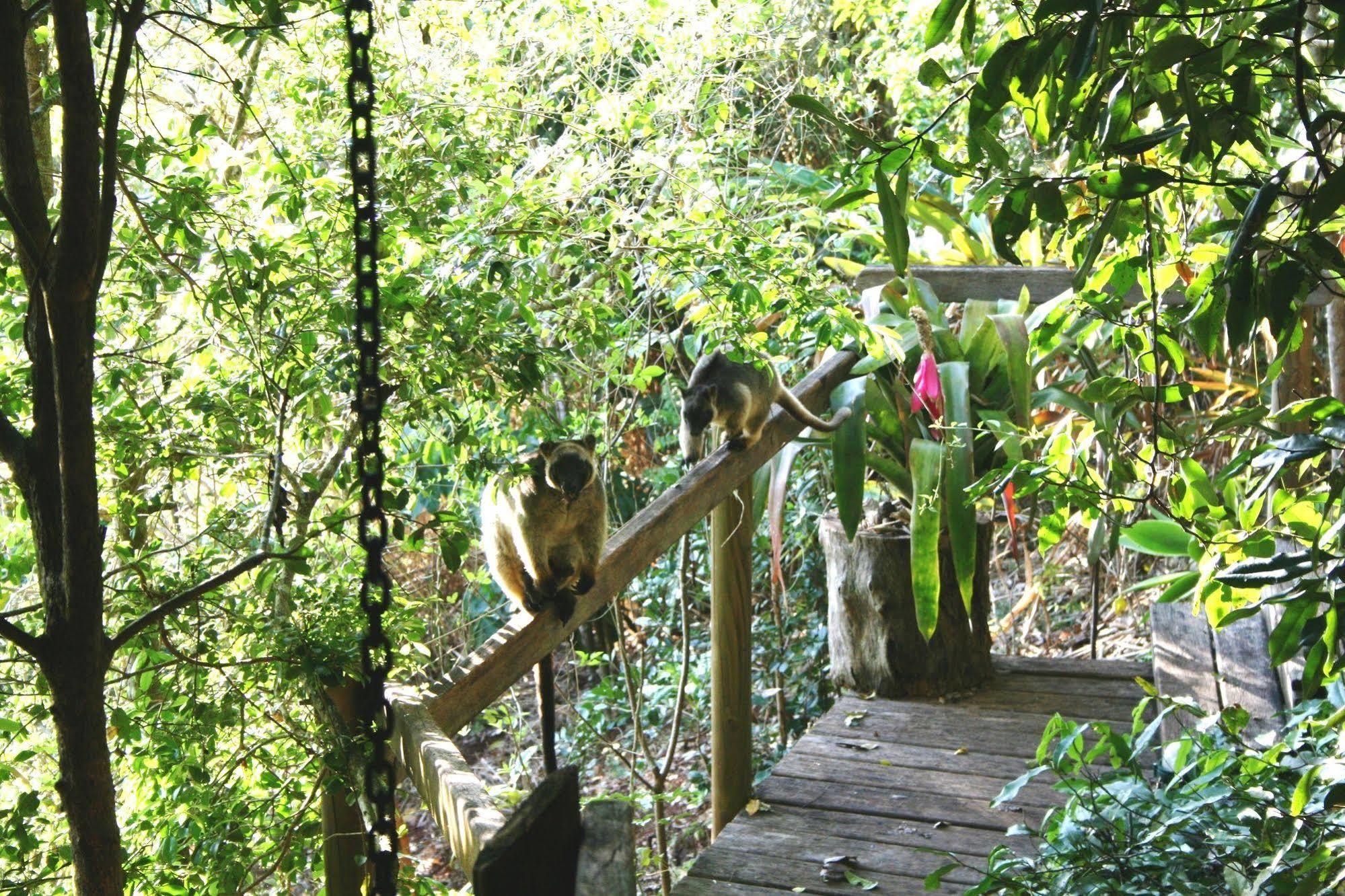 Mt Quincan Crater Retreat Yungaburra Extérieur photo