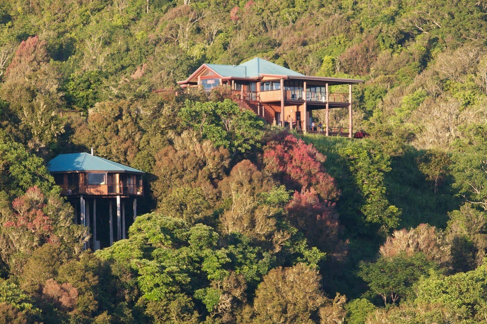 Mt Quincan Crater Retreat Yungaburra Extérieur photo