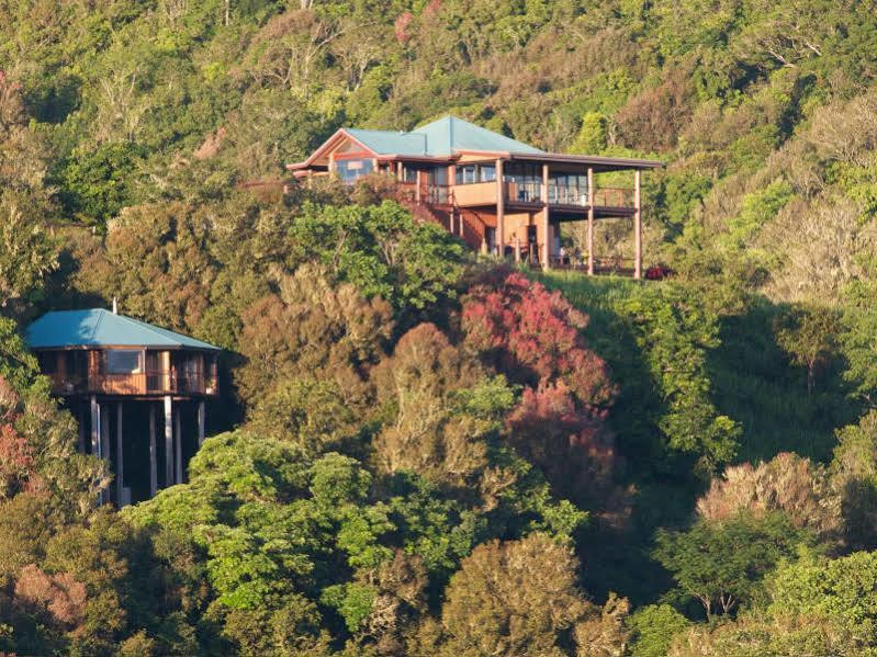 Mt Quincan Crater Retreat Yungaburra Extérieur photo