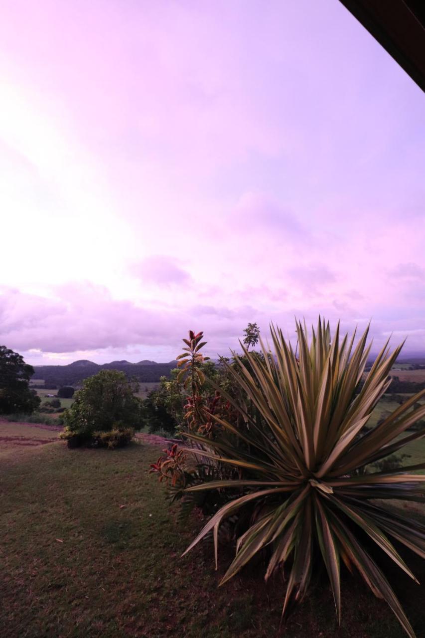 Mt Quincan Crater Retreat Yungaburra Extérieur photo