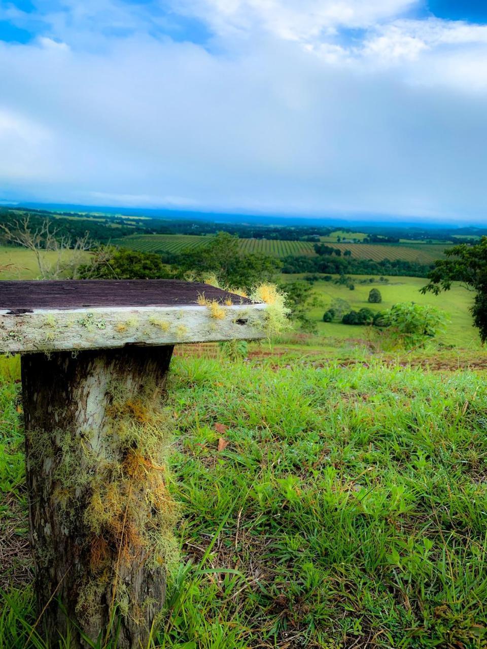 Mt Quincan Crater Retreat Yungaburra Extérieur photo